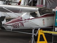 N1897N Cessna 120 - NASW Aviation Museum - Cape May County (WWD), NJ - 09/06/16