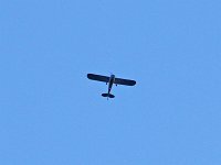 N83N - 1946 Cessna 140 - Saratoga County, NY - 05/19/16