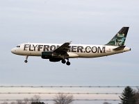 Frontier Airlines - N221FR "Bugsy the Tree Frog" - 2007 Airbus A320-214 - Albany County (ALB), NY - 12/01/18