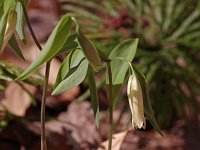 Wild Oats - Saratoga County, NY - 05/01/21